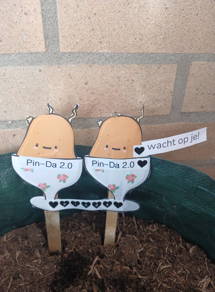 ✱ Tatta. komt boven de grond! tatta. komt boven de grond!