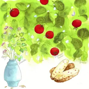 Aquarel van tomaten en groenten voor de vegakroket van Frituur Van Gogh